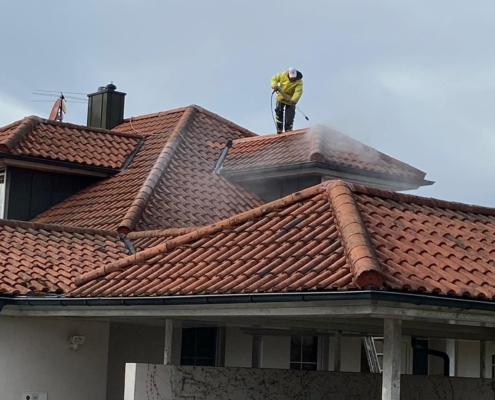 Dachreinigung
