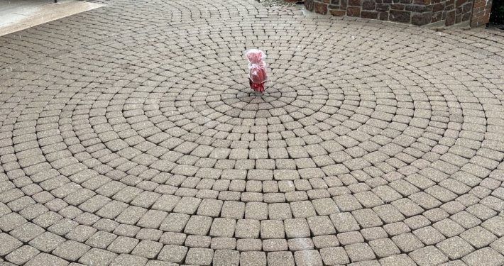 Terrasse Nachher Garten nachher Reinigung